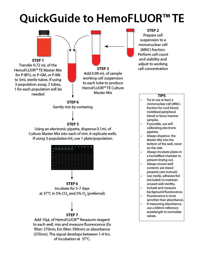 How to Perform HemoFLUOR TE to Measure Time to Engraftment of Stem Cells Using a Fluorescence Readout